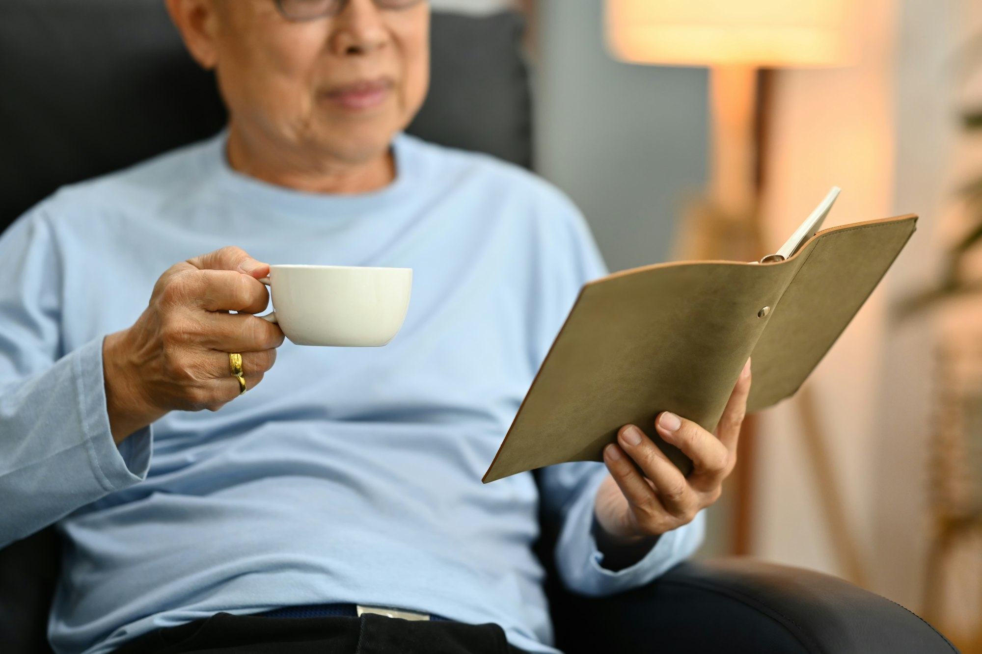 Peaceful senior man sitting on the armchair and reading book.